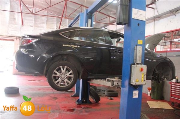 avis lud 0524 (34).JPG